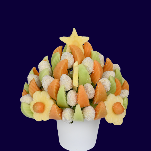 Cocunut Fruit Design