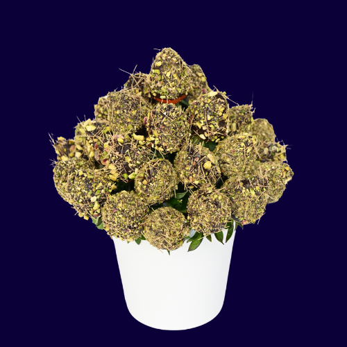 Strawberry Pistachio Bouquet